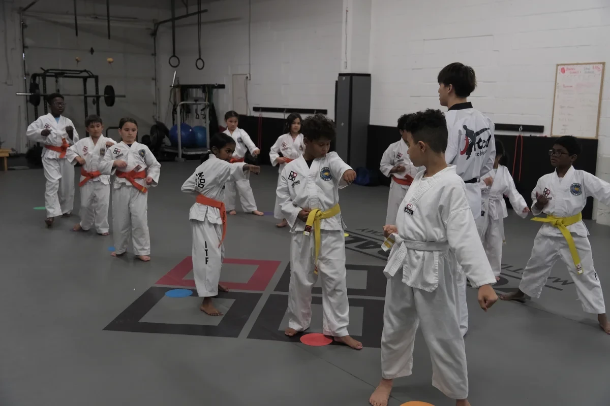Large Taekwondo class near Toronto at Yorkdale Martial Arts Academy - community atmosphere